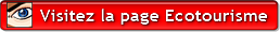 Ecotourisme